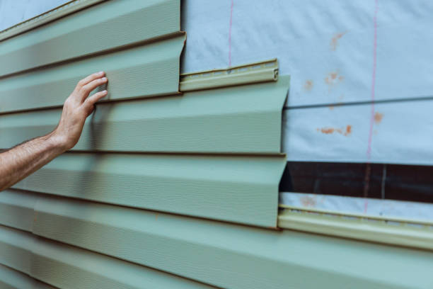 Best Siding Painting and Refinishing  in Krugerville, TX